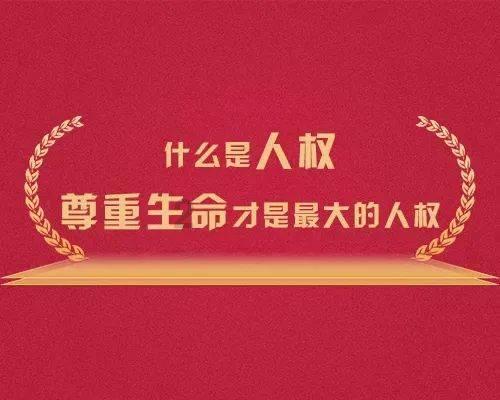 沙发坐垫通常有哪些填充物?- 专业的知识问答网页